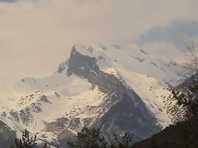 Pinarillos Sarvise Luaran gambar