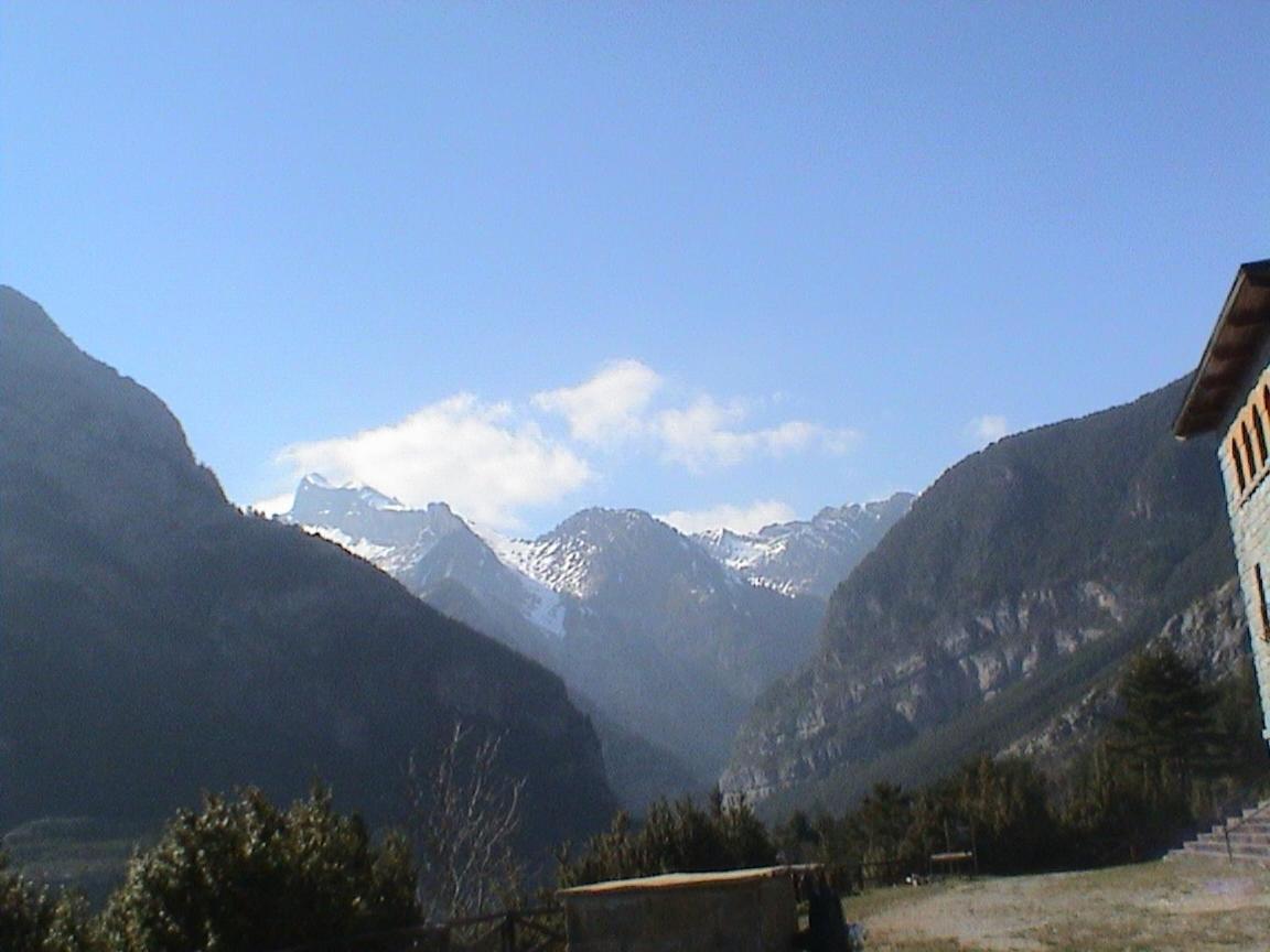 Pinarillos Sarvise Luaran gambar